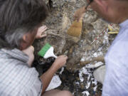 Stephen Kruse, left, and Ron Tykoski, the Perot Museum&rsquo;s director of paleontology and curator of vertebrate paleontology, excavate bones found from a mosasaur in a creek bed on July 21, 2022, near the North Sulphur River in Fannin County, Texas.