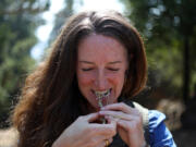 Jessica Carew Kraft uses her teeth to grip the stem of a Himalayan blackberry plant as she twists the stem into cord Sept. 19 in Berkeley, Calif. Kraft is an author and forager of wild edibles.