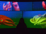 A visitor looks at a display in the Into the Deep exhibit May 30 at the Monterey Bay Aquarium in Monterey, Calif.