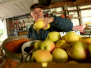 Fruit farmer Mike Cirone boxes apples in a small packing shed at his orchard in See Canyon near San Luis Obispo, Calif. He grows more than 30 varieties of apples, pears and oranges.