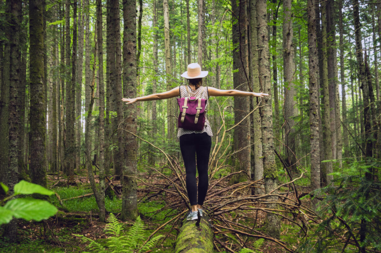 Shinrin-yoku, or forest bathing, is a therapeutic Japanese practice that involves spending time in a forest, often walking slowly or sitting, while using all your senses to take in the atmosphere.