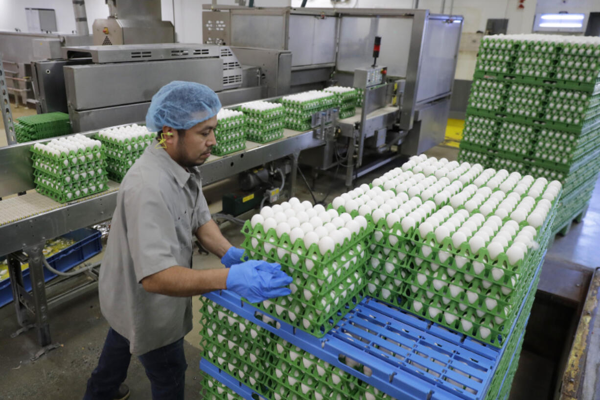 FILE - A worker loads eggs for washing and processing on a farm, April 9, 2020, in Roy, Wash. Nearly 5 million chicken, turkeys and ducks have been slaughtered this year because of a persistent bird flu outbreak that began in 2022, but as big as that number may sound, it&rsquo;s far less than the number of birds killed last year and that means consumers generally aren&rsquo;t seeing as much impact on poultry and egg prices. (AP Photo/Ted S.