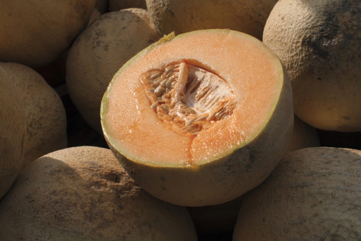 FILE - Cantaloupes are displayed for sale in Virginia on Saturday, July 28, 2017. U.S. health officials recalled three more brands of whole and pre-cut cantaloupes Friday, Nov. 24, 2023 as the number of people sickened by salmonella more than doubled this week.  (AP Photo/J.