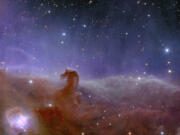 This image provided by the European Space Agency shows Euclid&rsquo;s panoramic view of the Horsehead Nebula. The European Space Agency released Euclid&rsquo;s first photos Tuesday, Nov. 7, 2023 four months after the spacecraft was launched from Florida to study the dark universe, invisible yet everywhere. Euclid will observe billions of galaxies, creating the largest 3D map ever made of the cosmos, in order to better understand the dark energy and matter that make up 95 percent of the universe.