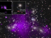 This annotated image provided by NASA on Monday, Nov. 6, 2023, shows a composite view of data from NASA&rsquo;s Chandra X-ray Observatory and James Webb Space Telescope indicating a growing black hole just 470 million years after the big bang. It is the oldest black hole yet discovered.