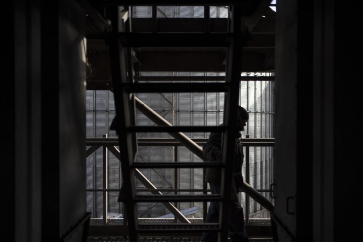 An employee walks in a grain handling and storage facility in central Ukraine, Friday, Nov. 10, 2023. In recent months, an increasing amount of grain has been unloaded from overcrowded silos and is heading to ports on the Black Sea, set to traverse a fledgling shipping corridor launched after Russia pulled out of a U.N.-brokered agreement this summer that allowed food to flow safely from Ukraine during the war.