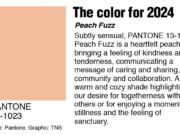 Pantone reveals color of the year for 2024.