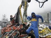 FILE - Salmon fisherman stack their nets on June 22, 2023, in Kodiak, Alaska. A group of lawmakers from New England and Alaska introduced a proposal Thursday, Dec. 7, 2023, that says a federal program that protects the health and wellbeing of commercial fishermen should be expanded to include substance use disorder and worker fatigue. (AP Photo/Joshua A.