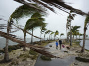 Bob Givehchi, right, and his son Daniel, 8, Toronto residents visiting Miami for the first time, walk past debris and palm trees blowing in gusty winds Friday at Matheson Hammock Park in Coral Gables, Fla.