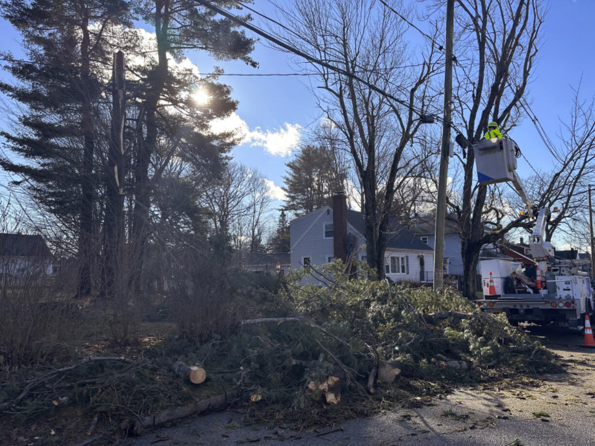 A large chunk of a 60-foot white pine tree lays across Ellen Briggs&rsquo; yard in Portland, Maine, on Tuesday, Dec. 19, 2023. Utility crews are working to restore power to hundreds of thousands of customers in Maine and some rivers continued to rise following a powerful storm that hit the northeastern U.S.