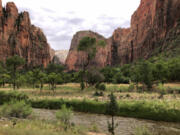 The Virgin River winds through the red rock canyons near the Temple of Sinawava in Utah&rsquo;s Zion National Park. Some of the United States&rsquo; more popular national parks have implemented reservation and timed-entry programs, often on a pilot basis, in order to help ease crowding.