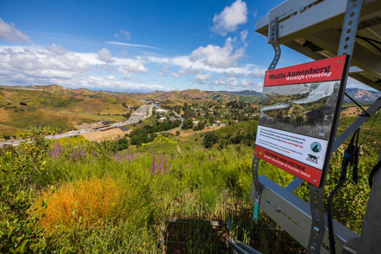 A view of the Wallis Annenberg Wildlife Crossing construction site on the 101 Freeway. The structure on the right holds a time-lapse camera to document the project.