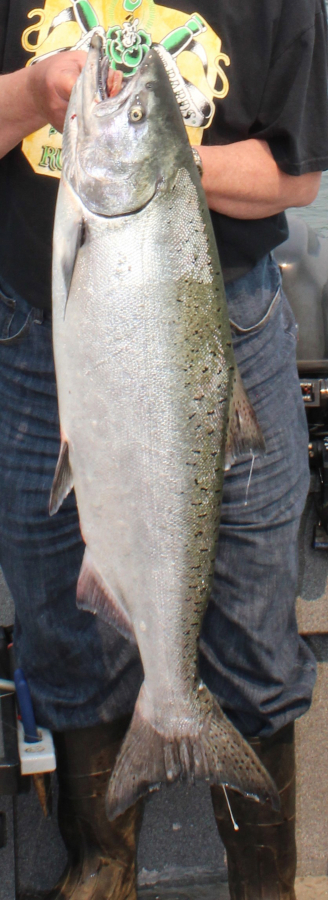 Columbia River fishing report 1/31/2024 - Columbia River Fishing