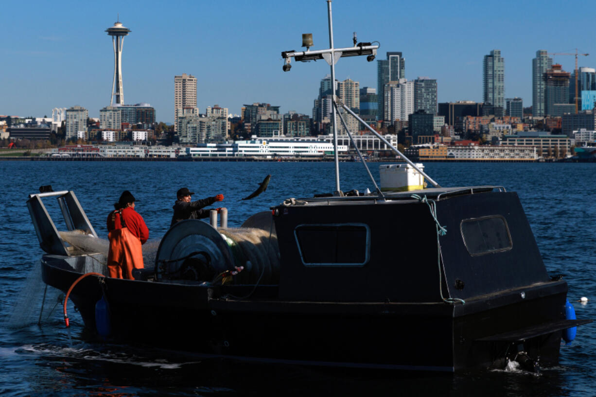 Muckleshoot fishermen Dezi Louie, wearing red, and Levi Hamilton join other tribal boats for a chum opening on Elliott Bay. Their ancestors could never have imagined this cityscape, but they knew when signing the treaty with the U.S. that their people would need to be able to continue to travel to hunt, fish and gather as they always have. The treaty right to fish was insisted on by tribes when pressed to sign treaties with the U.S. in 1855 that cleared the way for white settlement.