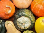 A variety of winter squash represents the colors and flavor of fall.