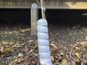 This Dec. 20, 2023 image provided by Jessica Damiano shows a plastic collar wrapped around the trunk of a young peach tree on Long Island, New York. Such barriers are effective at protecting bark from hungry rodents over winter.