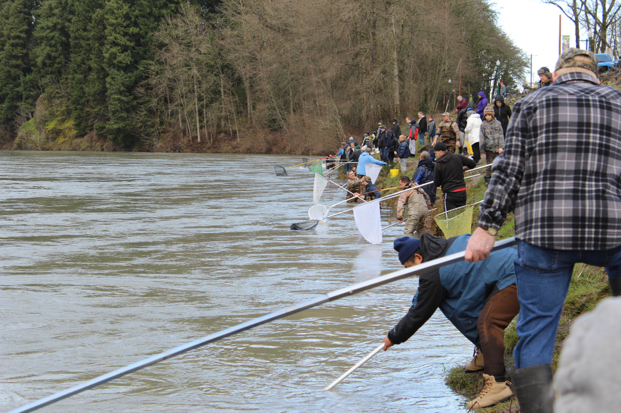 Additional 1-day smelt dip set for Tuesday, March 5 on Cowlitz River - The  Columbian
