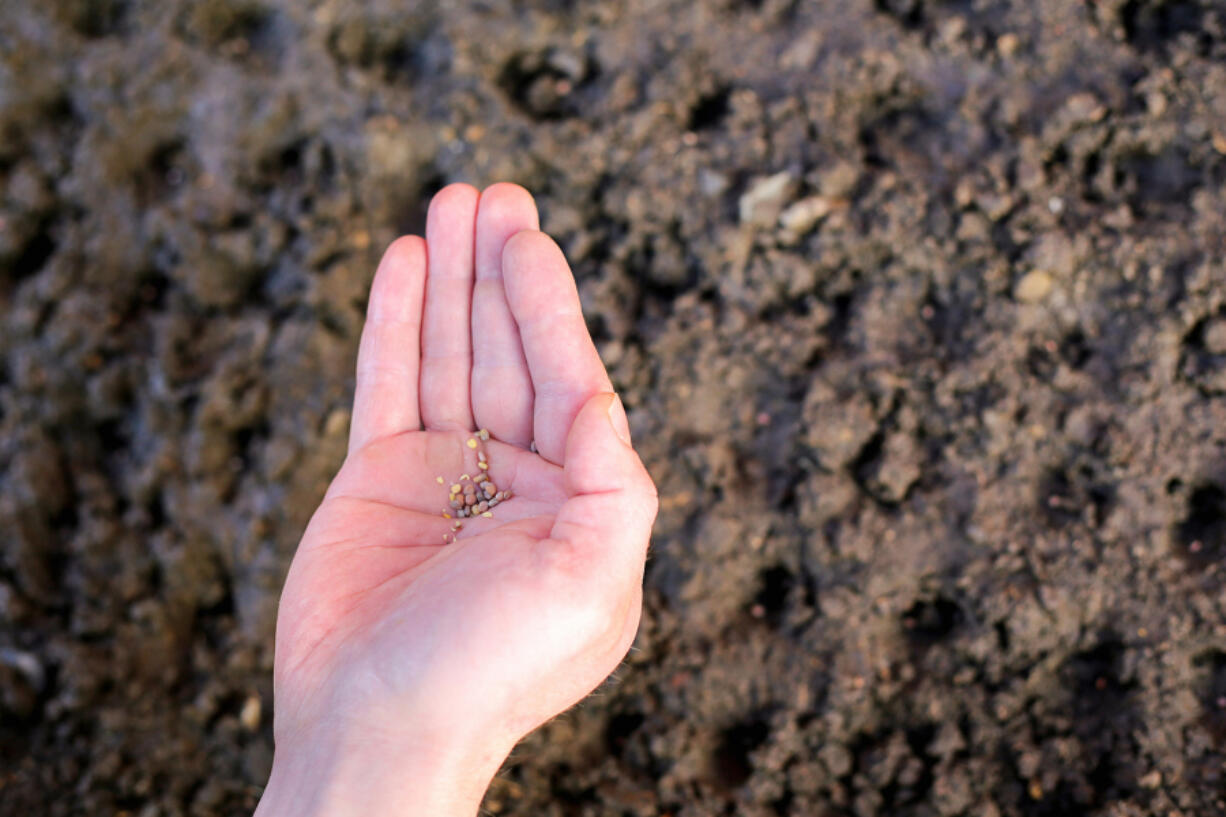 Starting with fresh seeds from a reliable seed company helps boost your growing success.