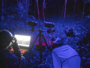 Imperial College London entomologist Sam Fabian conducts an experiment on the effect of artificial light on flying insects in Monteverde, Costa Rica.