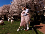 Tina Wu and Rick Salvador pose for photographs March 18 amid the Yoshino cherry blossoms at the University of Washington Quad in Seattle.