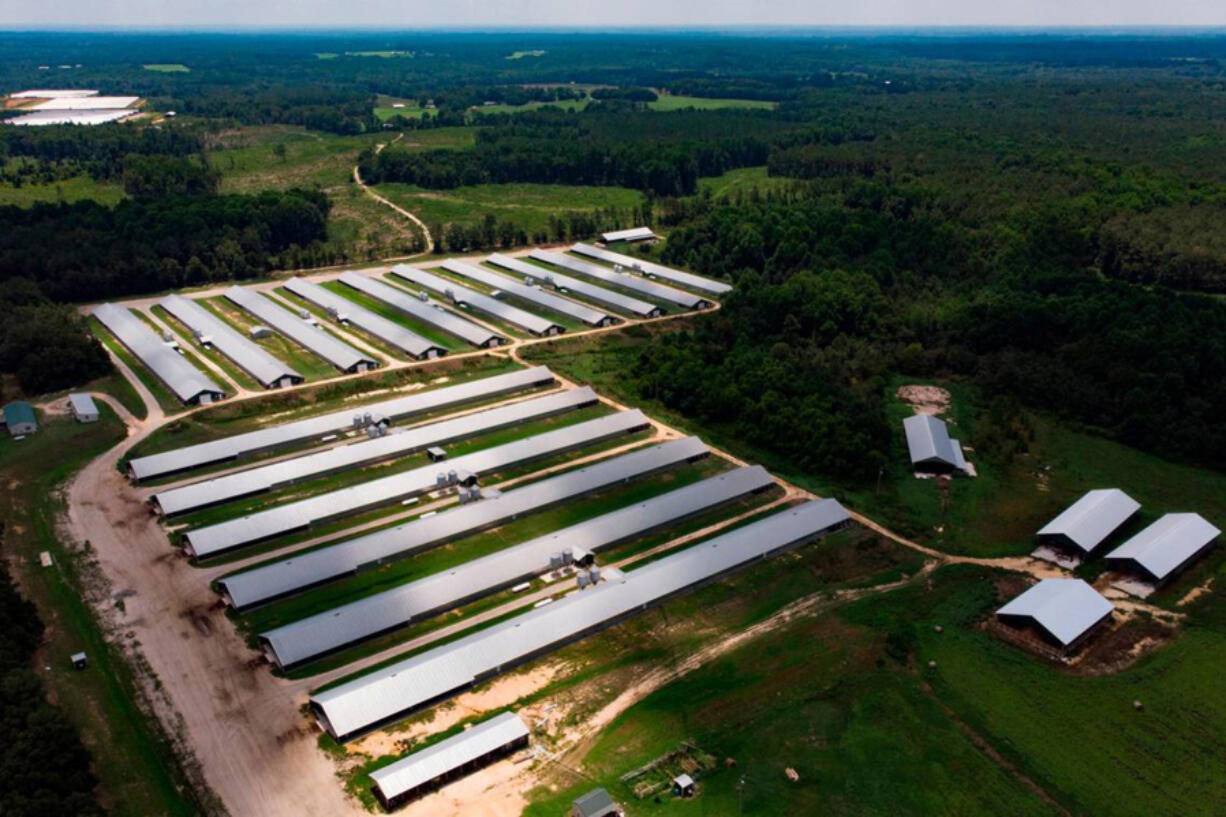 This aerial view shows some of the many poultry barns that have been built in southern Anson County in recent years.