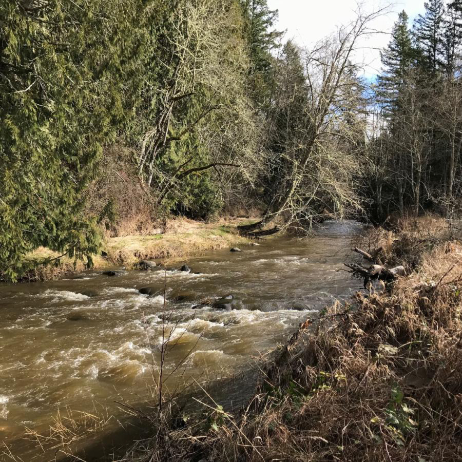 Nisqually State Park is a day use park currently in development on the Nisqually River between Mashel River and Ohop Creek.