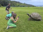 Tourists take photos Feb. 22 of Jonathan, a 192-year-old tortoise, on the lawn of Plantation House on the South Atlantic island of St. Helena.