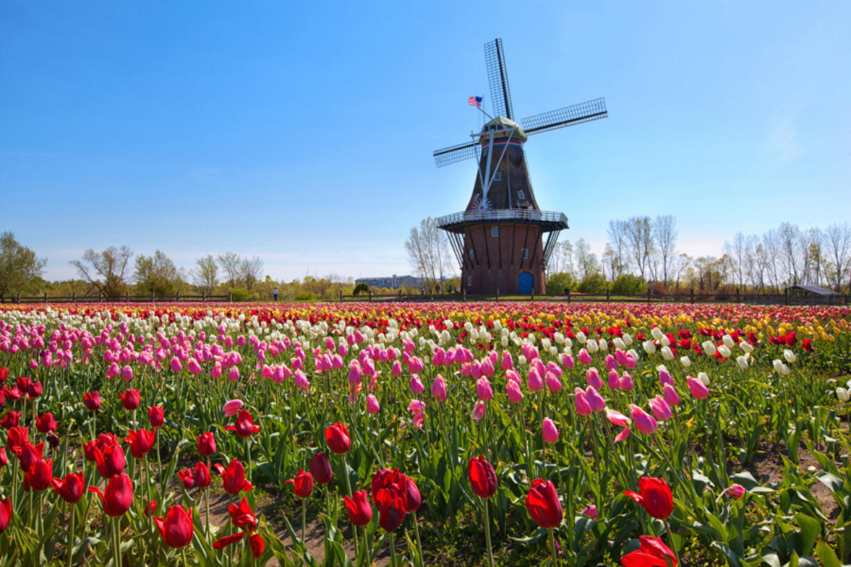 Holland, Mich., has authentic Dutch windmills, beaches, food and art &mdash; giving the perfect balance of a European, beach and small-town feel.