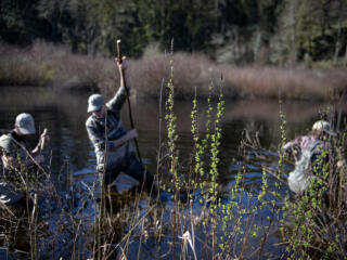 Amphibian Survey at Ridgefield Pits photo gallery