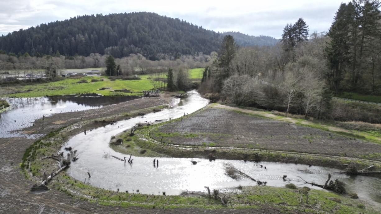 This drone photo taken Jan. 29 shows the site of a salmon restoration project at Prairie Creek, which runs from Redwood National and State Parks, Calif., and flows through land that will be returned to the Yurok Tribe.