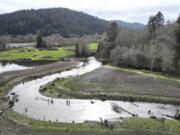 This drone photo taken Jan. 29 shows the site of a salmon restoration project at Prairie Creek, which runs from Redwood National and State Parks, Calif., and flows through land that will be returned to the Yurok Tribe.