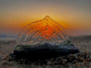 The sunset is seen in April 2023 through a by-the-wind sailor in Huntington Beach, Calif. The creatures began arriving at Bay Area beaches recently and are expected in Southern California within months. (Allen J.