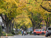 Trees line Fourth Avenue in downtown Camas. The east Clark County city landed a spot on Money.com's list of best places to live.