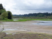 Residents living along the west edge of the Salmon Creek trail say the ponds have been drying out, but no one seems to know why. According to Clark County Public Works, the ponds began drying up about a year ago. Rocky Houston, director of the parks division, said it may be from a beaver dam.