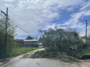 A tree covers a road after severe storms hit Tuesday, April 2, 2024, in Cross Lanes, W.Va.