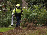 A gardener uses a leaf blower to clear leaves at a home Oct. 13, 2021, in Sacramento, Calif.