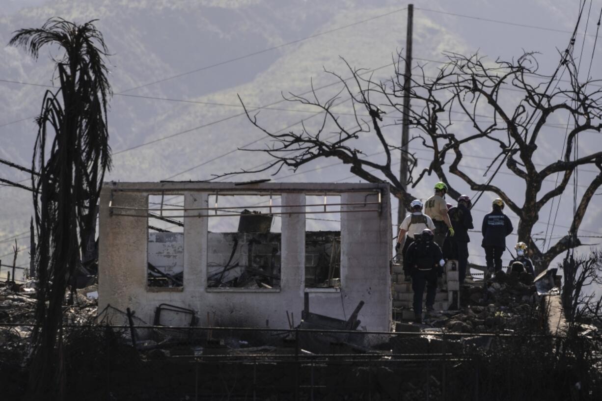 FILE - Search and rescue team members work in a residential area devastated by a wildfire in Lahaina, Hawaii, Aug. 18, 2023. The Maui Fire Department is expected to release a report Tuesday, April 16, 2024, detailing how the agency responded to a series of wildfires that burned on the island during a windstorm last August. (AP Photo/Jae C.