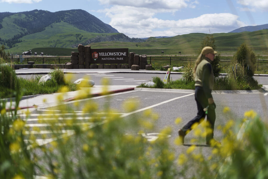 FILE - A pedestrian walks past the entrance to Yellowstone National Park, June 15, 2022, in Gardiner, Mont. A man who kicked a bison in the leg was then hurt by one of the animals on April 21, 2024, in Yellowstone National Park, according to park officials. Park rangers arrested and jailed him after he was treated for minor injuries.