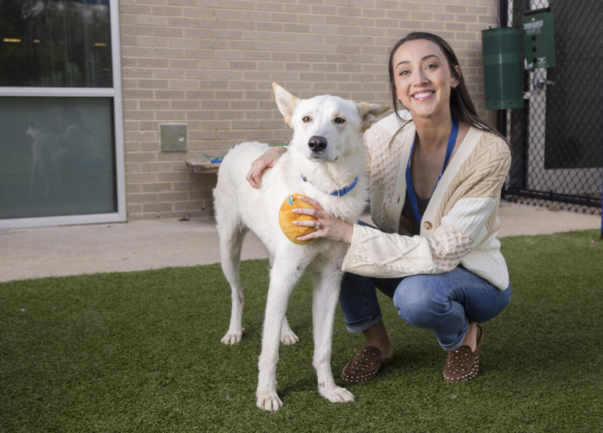 Two-year-old Frosty and Sarah Sheek, assistant general manager of community engagement, pose for a photo April 30 at Dallas Animal Services in Dallas.