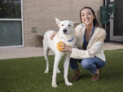 Two-year-old Frosty and Sarah Sheek, assistant general manager of community engagement, pose for a photo April 30 at Dallas Animal Services in Dallas.