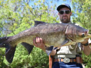 A Colorado Parks and Wildlife employee holds one of 14 invasive bighead carp removed May 8 from Jack B Tomlinson Park in Arvada, Colo.