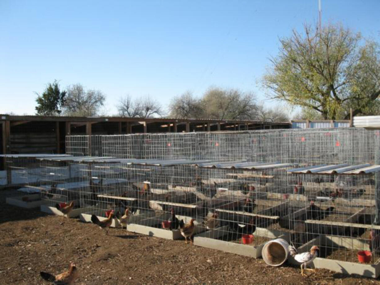 Cockfighting operation are often in rural areas, making them a challenge for evidence gathering by law enforcement.