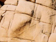 A rock climber is seen at the Hidden Valley campground inside Joshua Tree National Park.