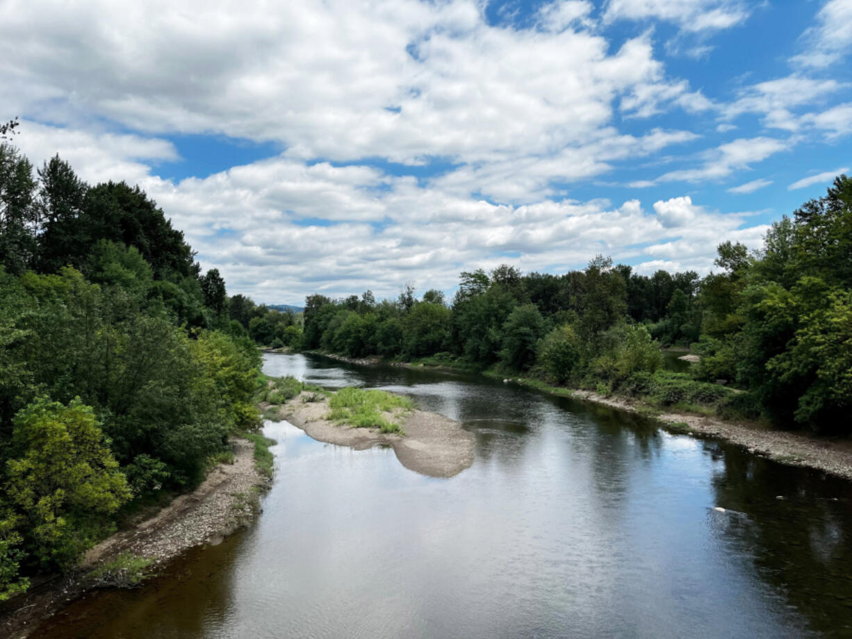 A city study shows Camas&rsquo; tree canopy adds nearly $35 million in benefits to the city every year through energy savings, carbon reduction and mental health and quality of life.