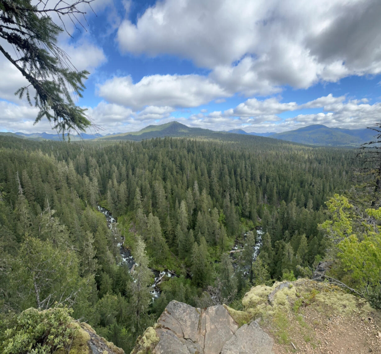 The Pacific Crest Trail from Trout Creek to Sedum Point allows expansive views of the Gifford Pinchot National Forest.