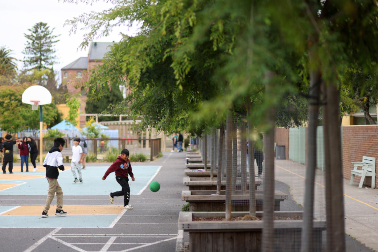 Students play in a green school yard May 16 at the Cesar E. Chavez Education Center in Oakland, Calif. The schoolyard was renovated to remove asphalt and plant trees around new courts and playground.