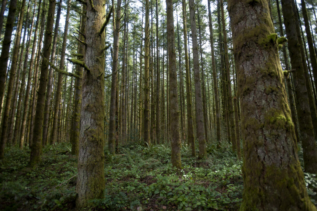 Clark County has owned Camp Bonneville since 2011.