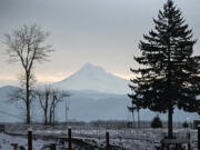 Views of Mount Hood, seen here in January during the ice storm, were at issue in a court case over Home Owner Association covenants.