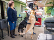 Melissa Dodge, left, laughs as Dylan Dodge, 17, plays with the family dogs Scooter, left, and Samantha on Tuesday, May 7, 2024, at the Dodge household in Vancouver. Melissa Dodge co-founded the Autism Mom&#039;s Support Group after Dylan was diagnosed and had trouble finding support.
