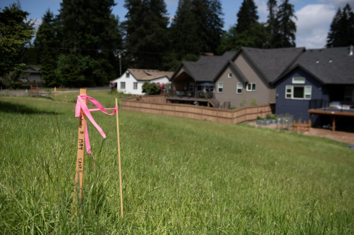 Survey flags placed by Clark County Public Works crews at Cougar Creek Woods Community Park sparked concerns among neighbors abut what the county is planning for the property.